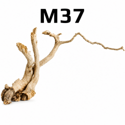 Kořen Finger Wood 44cm M37 (Red Moor wood, Amano wood)