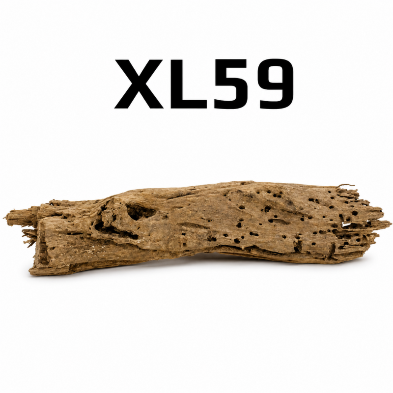Kořen do akvária Mangrove 49cm - XL59