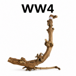 Kořen a dřevo do akvária Wine Wood 62cm - WW4