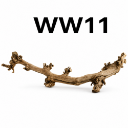 Kořen dřevo do akvária Wine Wood 79cm - WW11
