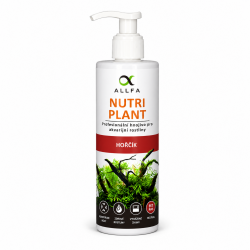 Allfa Hořčík 250ml