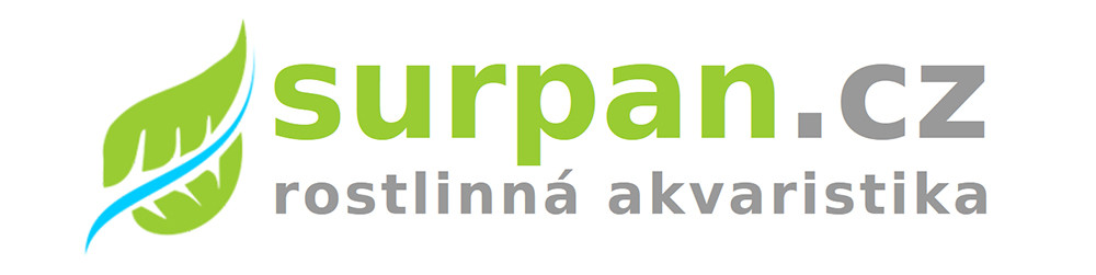 SURPANshop.cz